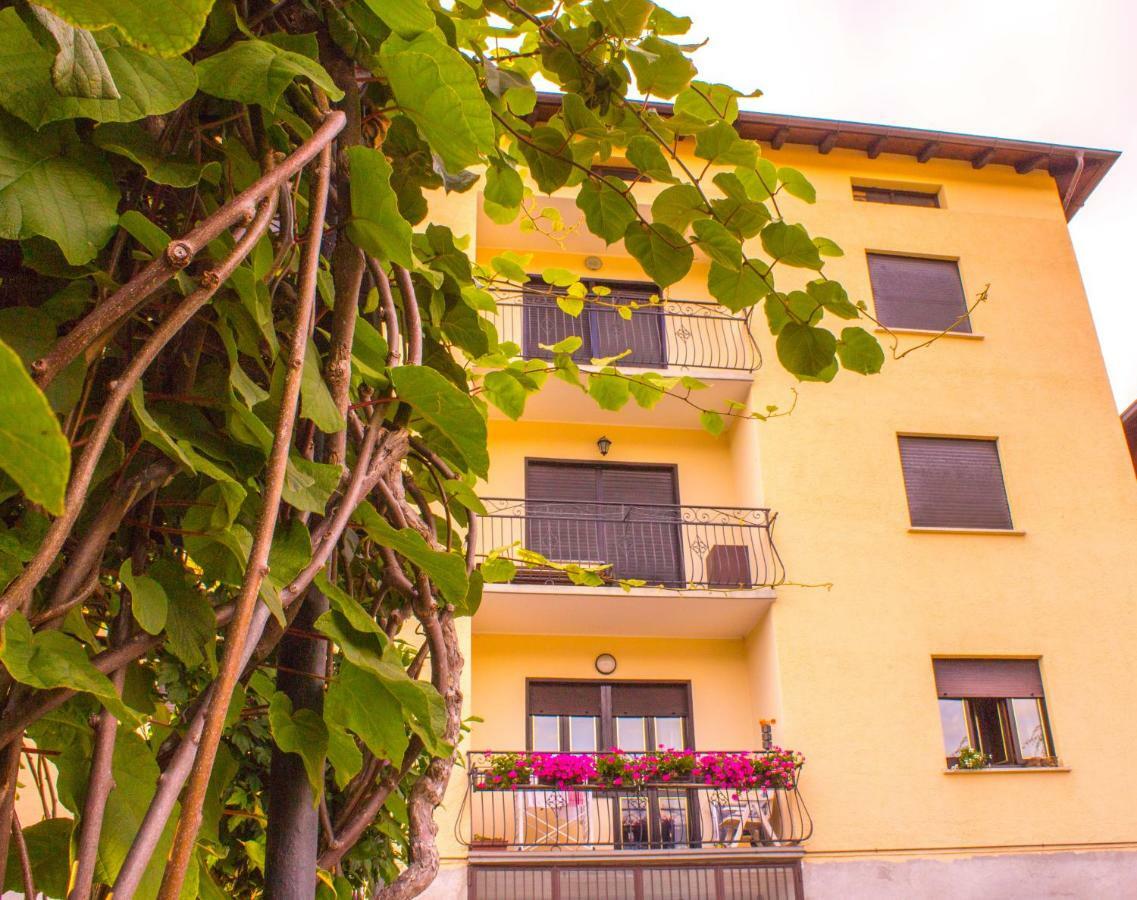Pergolato Alpino P.Terra Apartment Teglio Exterior photo